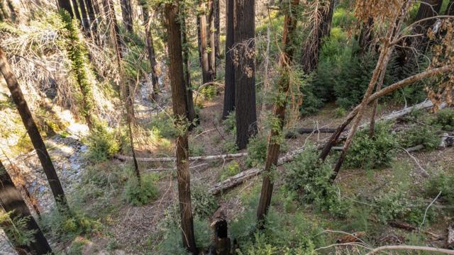 0 Boulder Brook Drive, Boulder Creek CA: https://media.crmls.org/mediaz/9abb0891-df06-4448-bc68-623a056713c9.jpg