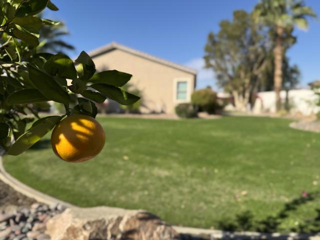 80372 Camino San Lucas, Indio CA: https://media.crmls.org/mediaz/9abd9330-9564-4f3b-9fd9-f776b15062bb.jpg