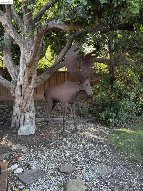 3405 Garrow Dr, Antioch CA: https://media.crmls.org/mediaz/9ac1cea6-8f0d-465c-9613-cb8430e48eb9.jpg