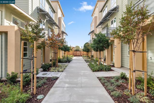 27264 Cosmo Ct, Hayward CA: https://media.crmls.org/mediaz/9ac23cf2-af86-4bed-831c-28fe33c937df.jpg