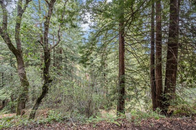 601 Old Hazel Dell Road, Watsonville CA: https://media.crmls.org/mediaz/9ac8b9a8-5750-40b7-808f-a48070025805.jpg