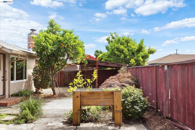 Image 44 of 46 For 831 Casanova Dr