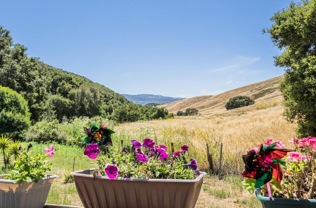 MLS #ML82008329 image #1