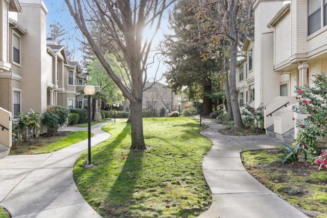 974 La Mesa Terrace, Sunnyvale CA: https://media.crmls.org/mediaz/9ad7a653-1efb-498e-85d5-73e3fd0b7c74.jpg