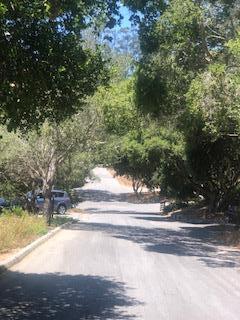 17580 Pond Derosa Lane, Prunedale CA: https://media.crmls.org/mediaz/9ade9de6-f1ac-4a3b-9cbb-3cf0255da48c.jpg