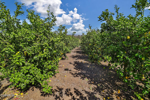 10255 Presilla Road, Santa Rosa CA: https://media.crmls.org/mediaz/9ae5bc54-fbbb-4451-921f-add46f725d60.jpg