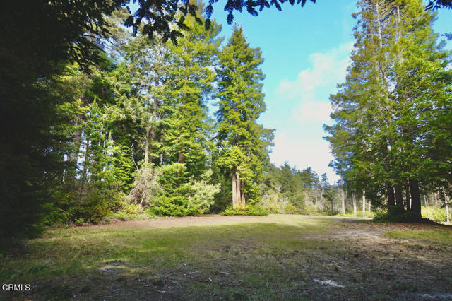 Detail Gallery Image 10 of 16 For 43535 Comptche Ukiah Rd, Mendocino,  CA 95460 - – Beds | – Baths