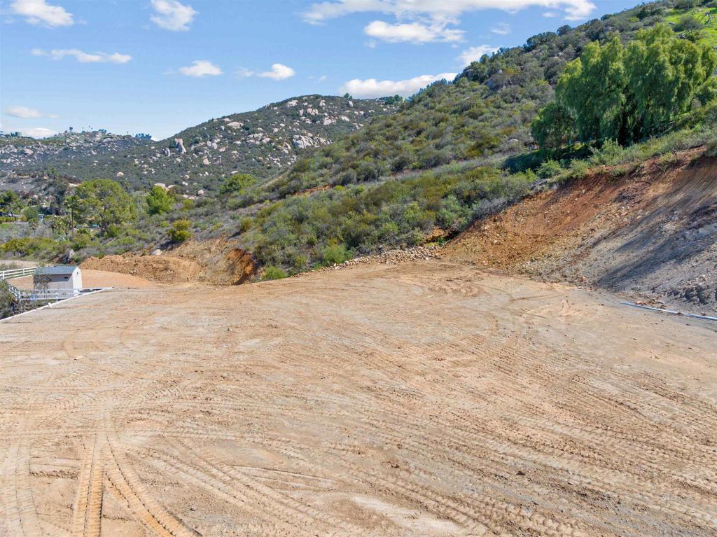 MLS #250022372SD image #19