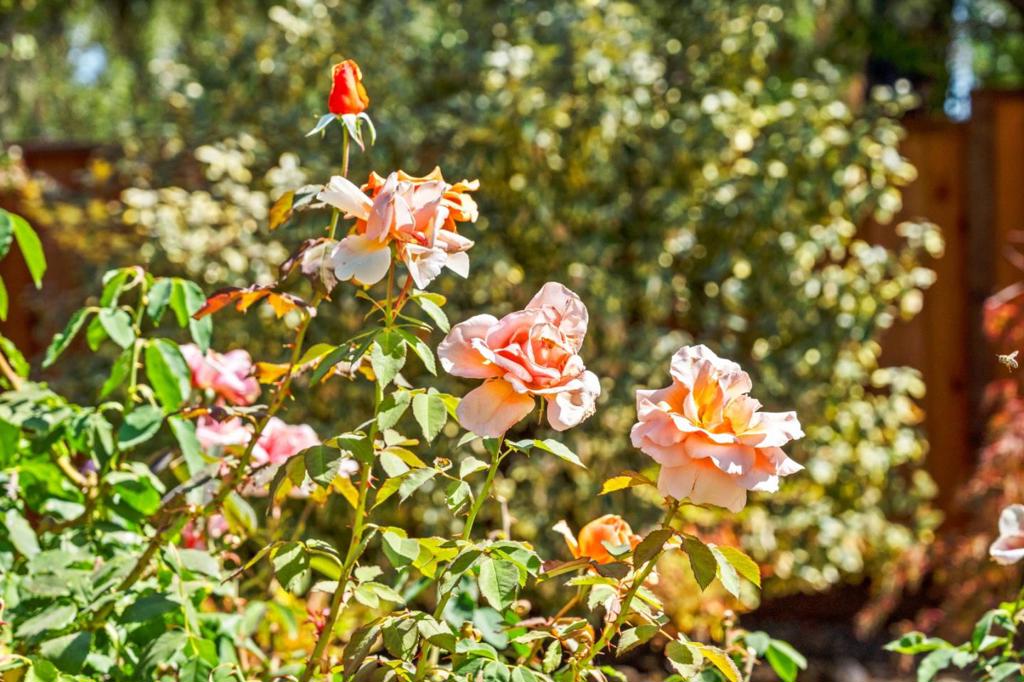 https://media.crmls.org/mediaz/9b211136-12b0-429b-9f6d-5674208aada9.jpg?preset=X-Large