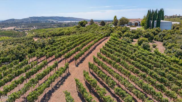 Detail Gallery Image 8 of 72 For 6150 Baja Vista Dr, Somis,  CA 93066 - 7 Beds | 5/2 Baths