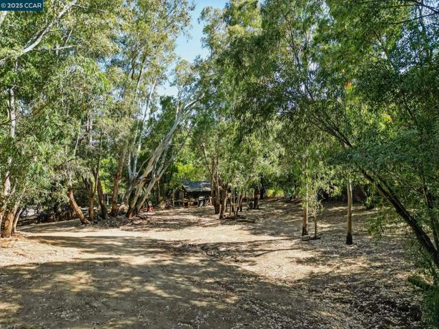 1491 Boulevard Way, Walnut Creek CA: https://media.crmls.org/mediaz/9b34c2d5-7446-4f0c-94ac-be2640202216.jpg