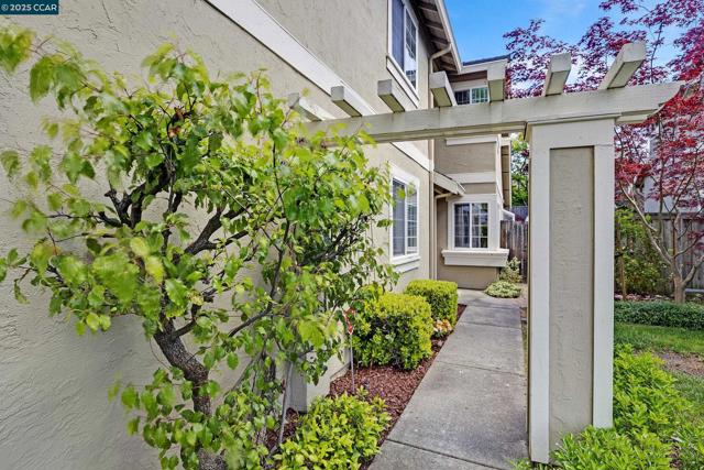 60 Rainbow Cir, Danville CA: https://media.crmls.org/mediaz/9b386b59-6b68-49a0-bba1-ed22a1dc6ce0.jpg