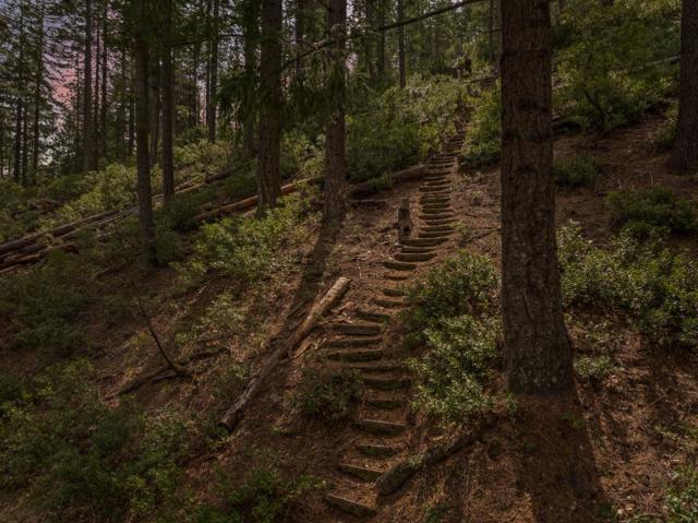 Image 85 of 95 For 2120 Pack Trail