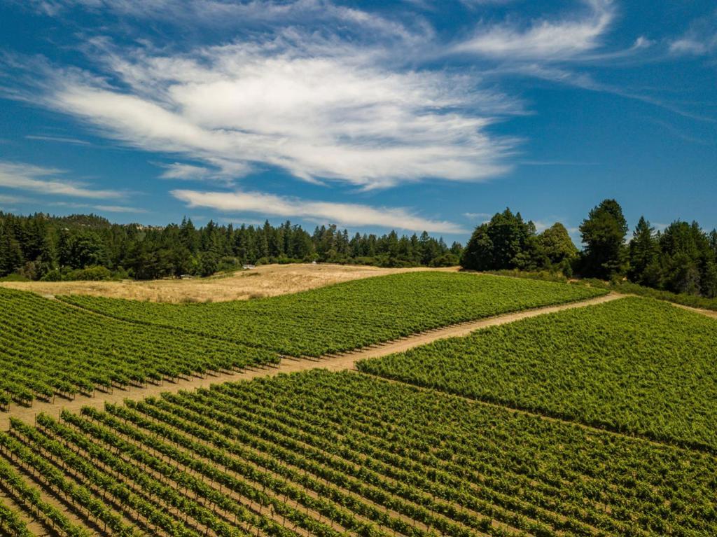 MLS #ML82029140 image #46