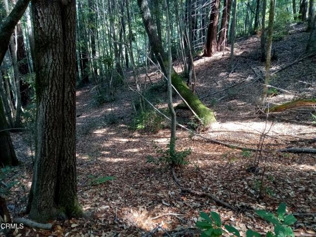 Detail Gallery Image 11 of 13 For 19800 Appaloosa Way, Philo,  CA 95463 - – Beds | – Baths