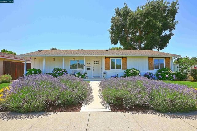 1250 Saint Louis Drive, Concord CA: https://media.crmls.org/mediaz/9b4d1a6b-e5be-46d7-a9e1-546a82953b59.jpg