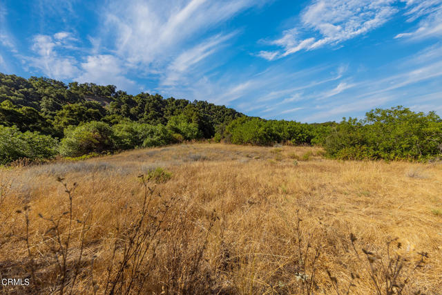 Detail Gallery Image 17 of 22 For 10331 Sulphur Mountain Rd, Ojai,  CA 93023 - – Beds | – Baths