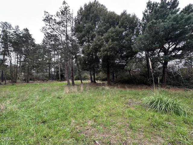 Detail Gallery Image 3 of 4 For 32875 Simpson Ln, Fort Bragg,  CA 95437 - – Beds | – Baths