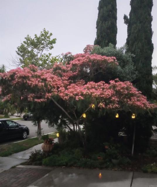 Detail Gallery Image 37 of 54 For 5544 Mill Creek Rd, San Diego,  CA 92130 - 4 Beds | 3 Baths