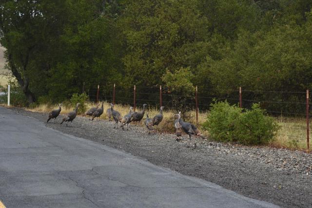 Image 21 of 23 For 1700 Finley Road