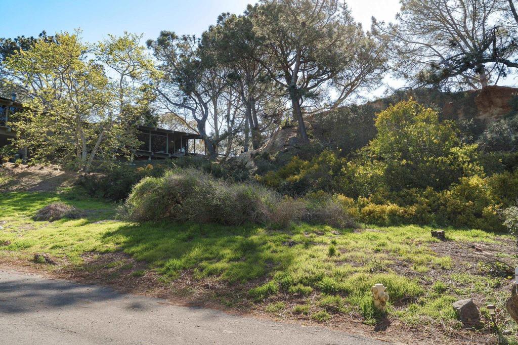 Hidden Pines Rd Del Mar - photo 10