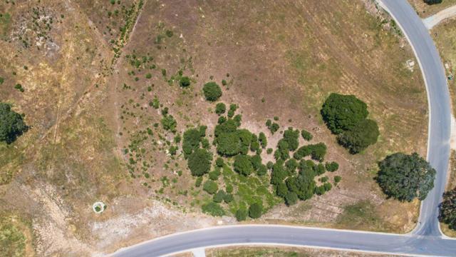 20505 Cathrein Court, Salinas CA: https://media.crmls.org/mediaz/9b70740e-7923-4b60-9121-a0b5bdcb96ac.jpg