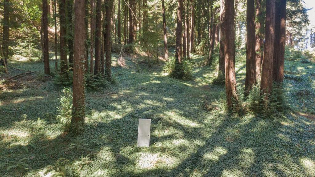 MLS #ML81988191 image #11