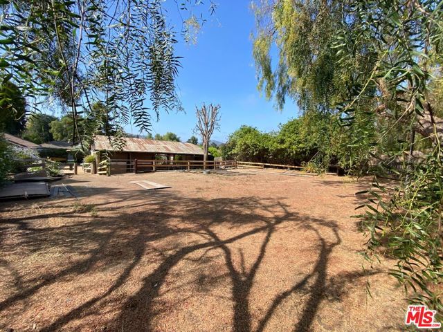Horse Arena