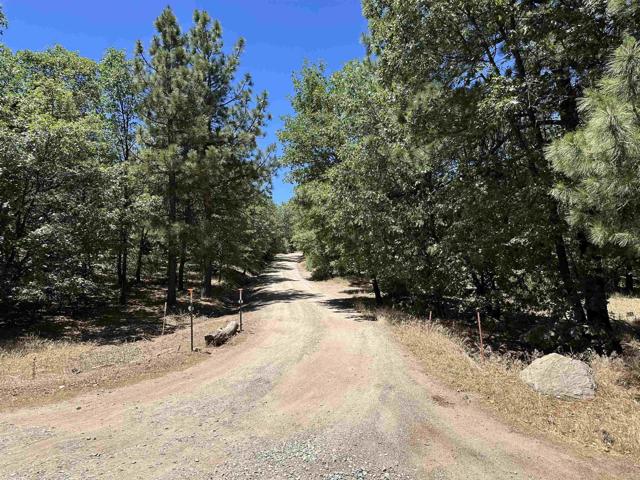 1126 Boiling Springs, Mount Laguna CA: https://media.crmls.org/mediaz/9b7c76e5-1171-466b-a69a-cabbccfdc818.jpg