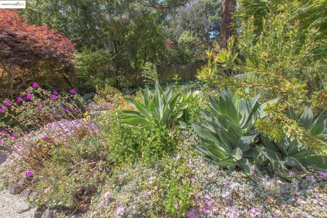 1081 Keith Ave, Berkeley CA: https://media.crmls.org/mediaz/9b7e6e1c-4b08-4f6b-a0a8-460d495d4680.jpg