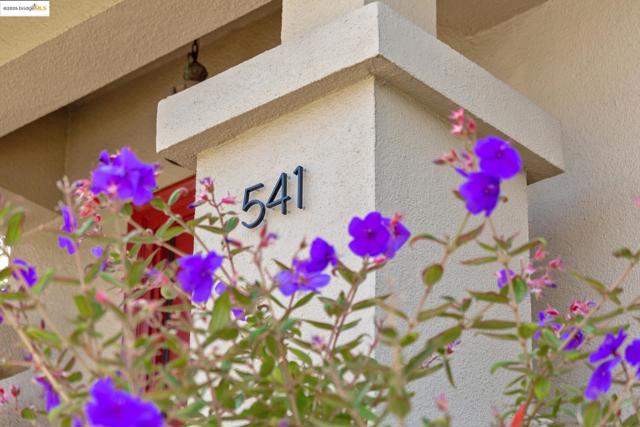 541 Boulevard Way, Piedmont CA: https://media.crmls.org/mediaz/9b838199-4403-4ece-b604-7bc7877e6048.jpg