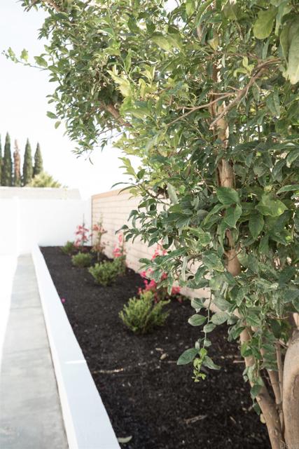 Detail Gallery Image 56 of 62 For 183 Plumosa St, Oceanside,  CA 92058 - 4 Beds | 2 Baths