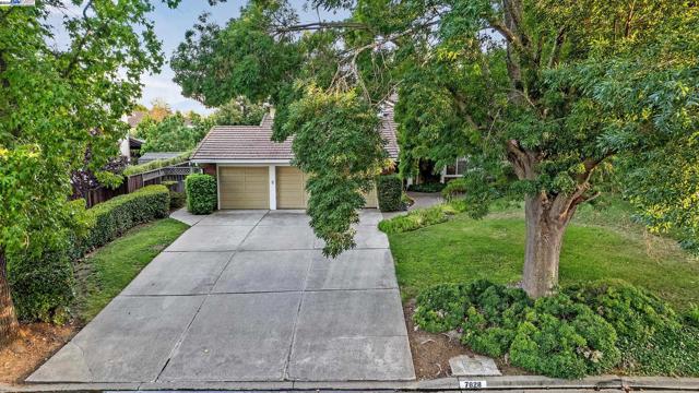 Image 49 of 59 For 7828 Foothill Knolls Dr