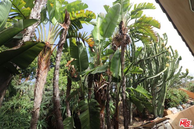 20776 Big Rock Drive, Malibu CA: https://media.crmls.org/mediaz/9baf4d02-cef2-413d-a63a-413c078a36f9.jpg