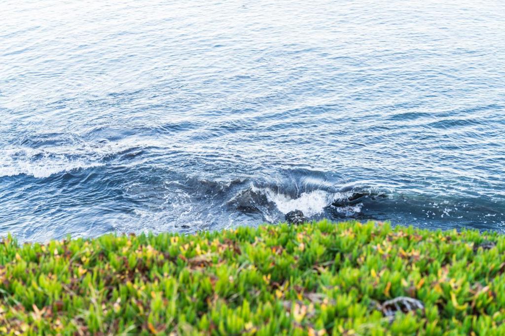 https://media.crmls.org/mediaz/9bb62350-7381-46ba-8b21-5521d7b91c76.jpg?preset=X-Large