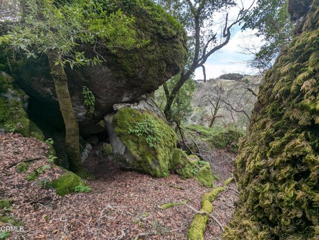 Detail Gallery Image 40 of 59 For 24051 Fig Tree Ln, Yorkville,  CA 95494 - – Beds | – Baths