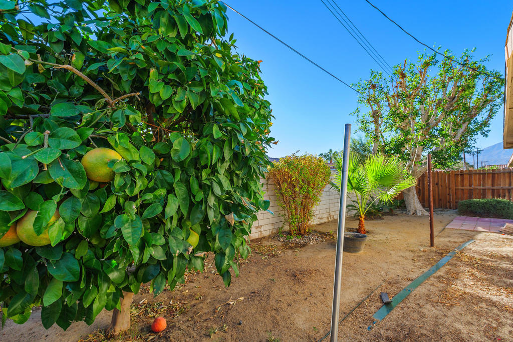 MLS #219137493DA image #7