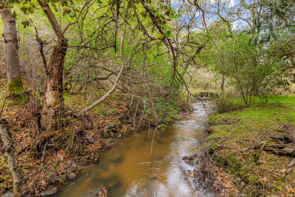 MLS #ML81999097 image #34