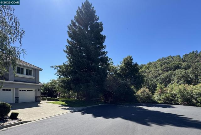 47 Kentfield Ct, Alamo CA: https://media.crmls.org/mediaz/9bcd6e65-5ead-403c-a139-61793b0dc431.jpg