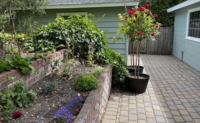 25349 Flanders Drive, Carmel CA: https://media.crmls.org/mediaz/9bce647f-18f7-44d8-9f68-fcfd31dac490.jpg