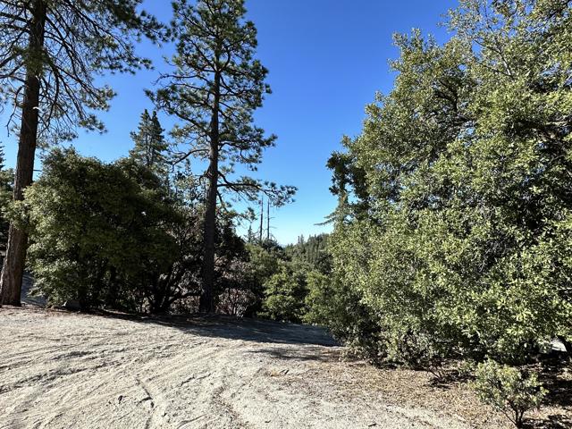 0 Mountain View, Idyllwild CA: https://media.crmls.org/mediaz/9bec3e47-3e1b-442d-83ca-84840b164a5c.jpg