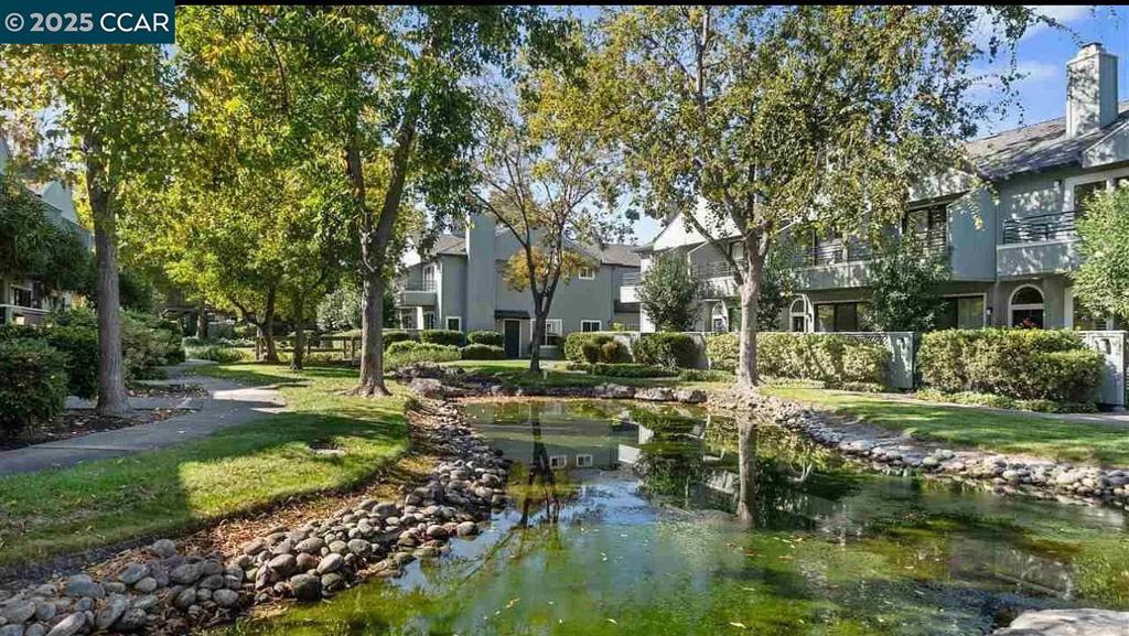 202 Sunspring