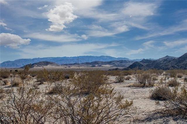 Detail Gallery Image 11 of 22 For 67090 Sunny Sands Dr, Joshua Tree,  CA 92252 - – Beds | – Baths