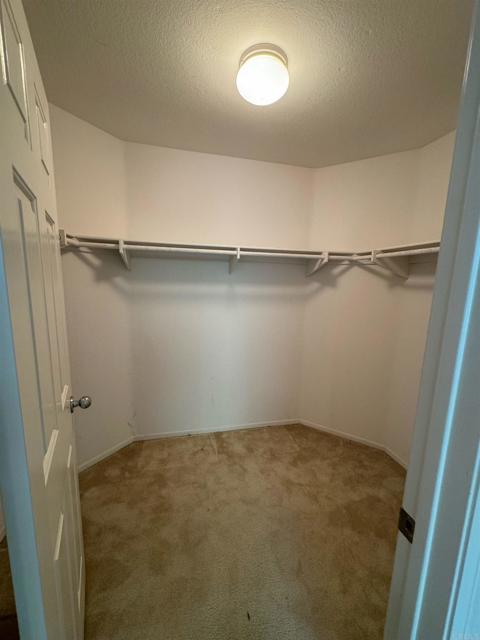 Photo #7: PTP2402296 Listing 