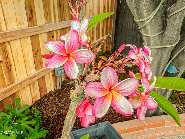 3307 Rainbow Creek Circle, Thousand Oaks CA: https://media.crmls.org/mediaz/9c070e99-7040-47a9-8bf9-ed170b79b1dd.jpg