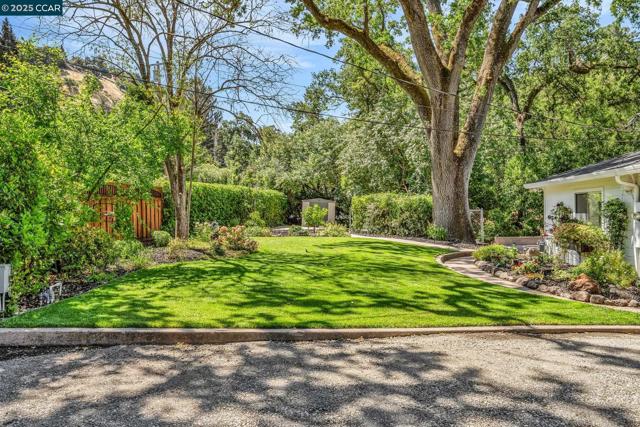 205 Castle Hill Ranch Rd, Walnut Creek CA: https://media.crmls.org/mediaz/9c07eeb2-7d47-4272-aa6d-1f5d96609c32.jpg