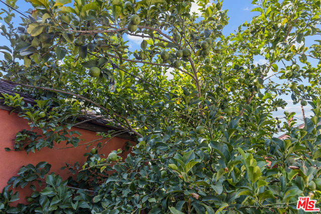 6841 Haywood Street, Tujunga CA: https://media.crmls.org/mediaz/9c0c5ccf-7ee6-4ad0-97d3-c652e3b4e169.jpg