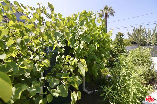 9342 Debra Avenue, North Hills CA: https://media.crmls.org/mediaz/9c216f60-d018-46d4-8e5e-4ffadbb5239b.jpg