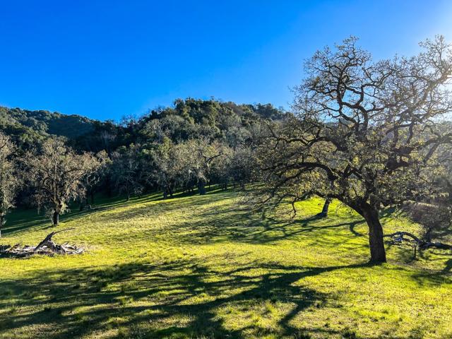 22 Arroyo Sequoia, Carmel CA: https://media.crmls.org/mediaz/9c231627-ad83-424c-a88f-6436da57852c.jpg