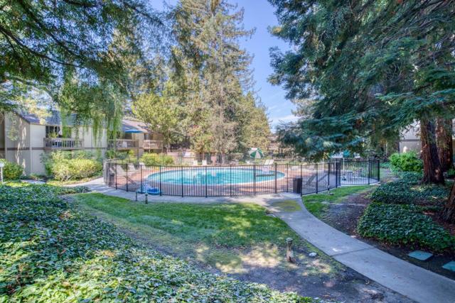 505 Cypress Point Drive, Mountain View CA: https://media.crmls.org/mediaz/9c2e9e61-46a5-4526-8466-97901fb9fd47.jpg